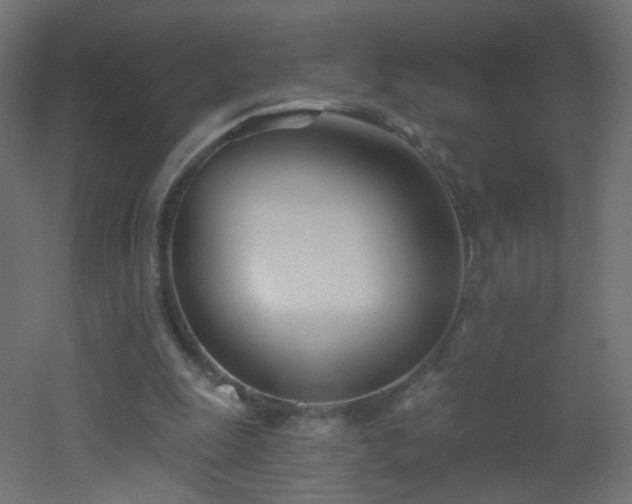 X0000053160247200507111515