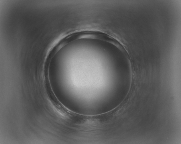 X0000053160248200507111515