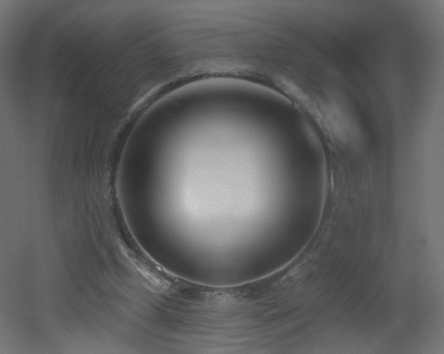 X0000053160249200507111515