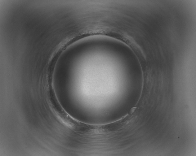 X0000053160250200507111515