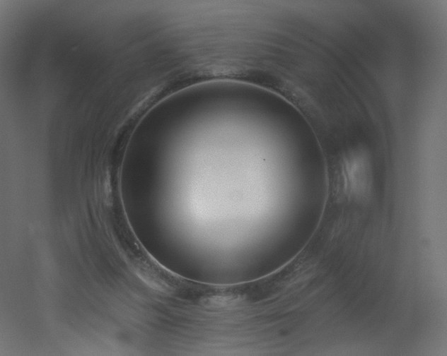 X0000053160251200507111515