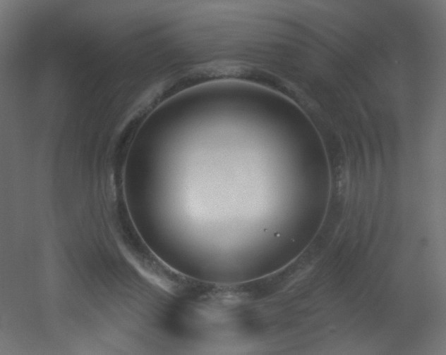 X0000053160254200507111515