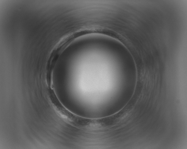X0000053160256200507111515