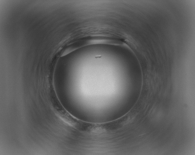 X0000053160258200507111515