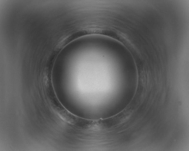 X0000053160259200507111515