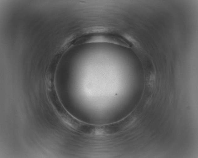 X0000053160264200507111515