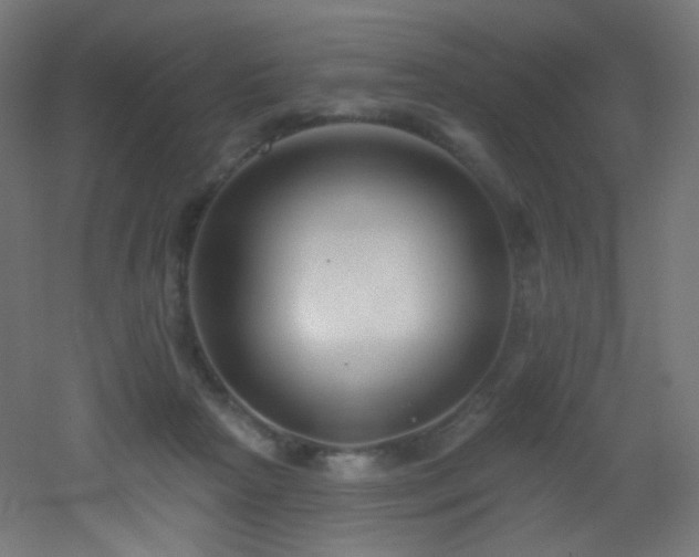 X0000053160265200507111515