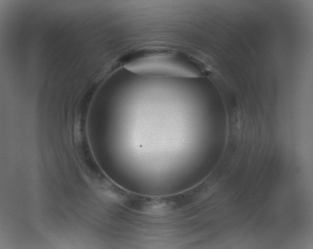 X0000053160267200507111515