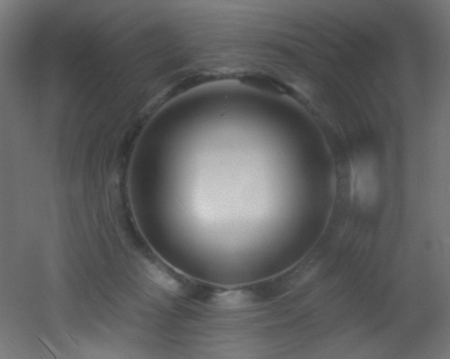 X0000053160269200507111515