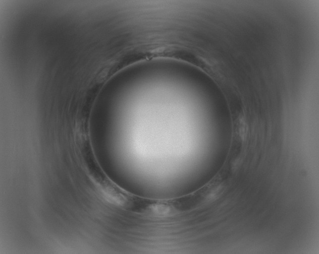 X0000053160272200507111515