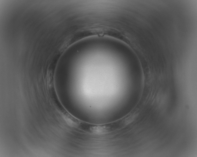 X0000053160273200507111515