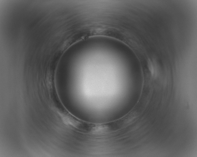 X0000053160274200507111515