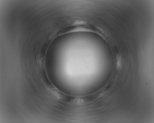 X0000053160276200507111515