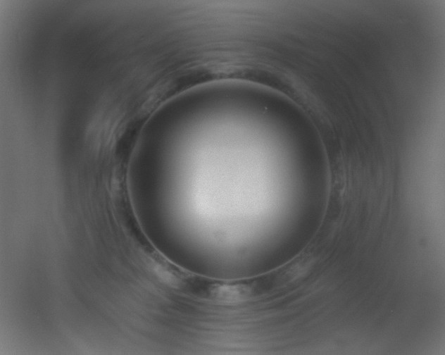 X0000053160277200507111515