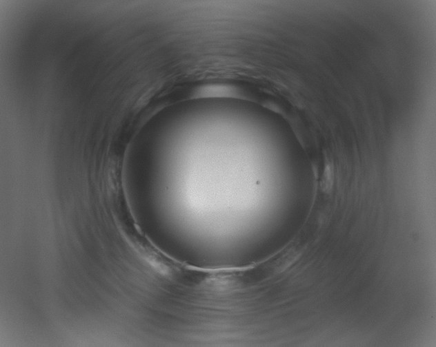 X0000053160280200507111515
