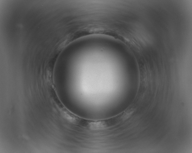 X0000053160281200507111515
