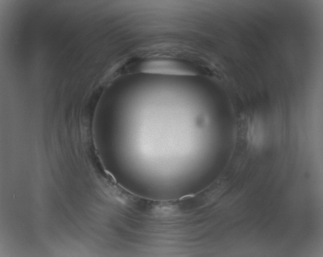X0000053160283200507111515