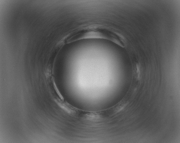X0000053160284200507111515