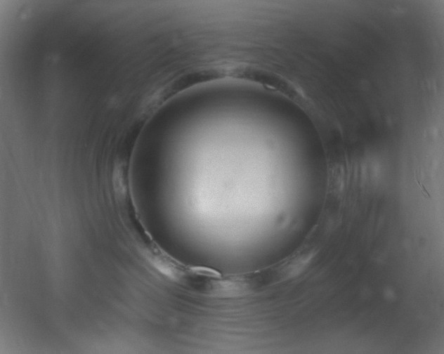 X0000053160286200507111515