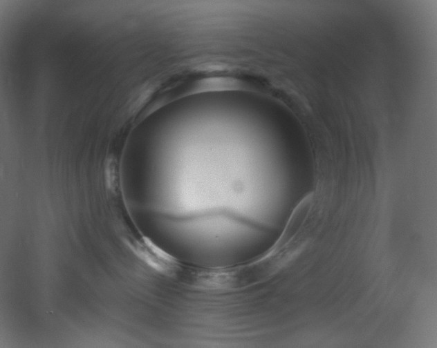 X0000053160288200507111515