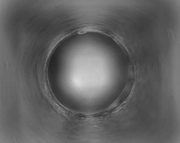 X0000053160289200507111515