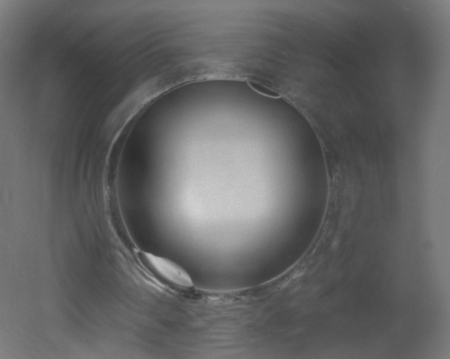X0000053160290200507111515