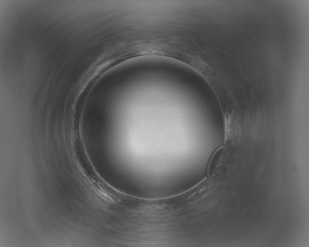 X0000053160291200507111514