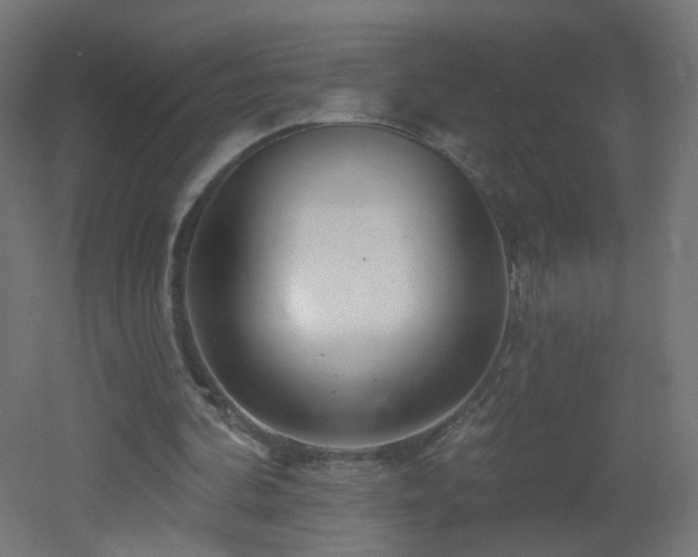 X0000053160292200507111514