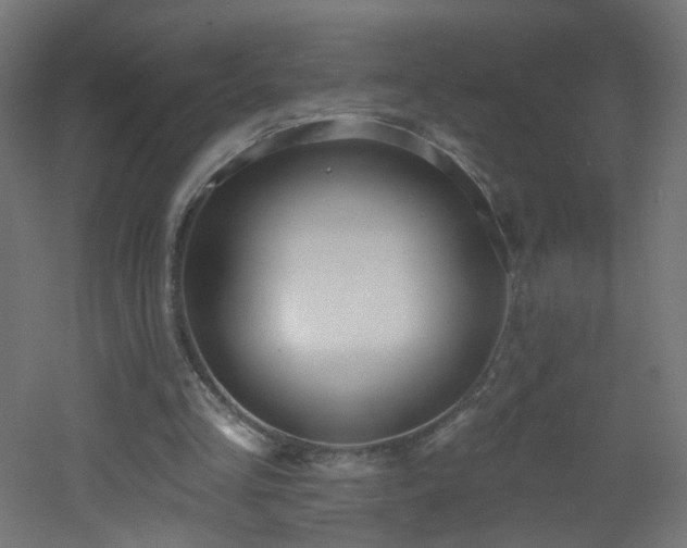 X0000053160293200507111514