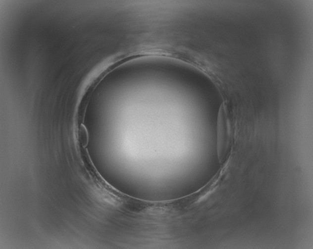 X0000053160294200507111514