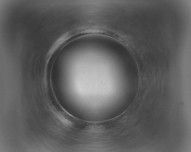 X0000053160296200507111514