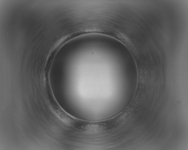 X0000053160298200507111514