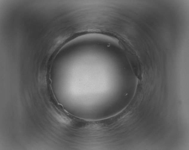 X0000053160299200507111514
