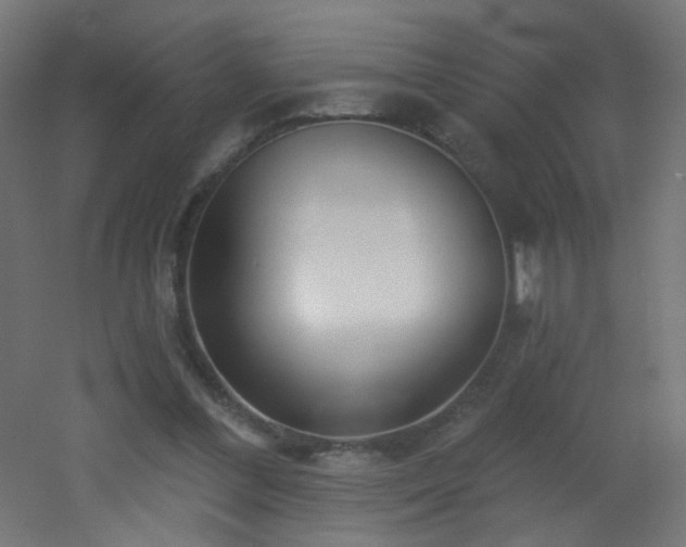 X0000053160300200507111514