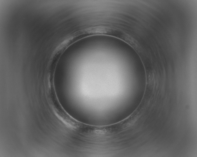 X0000053160302200507111514