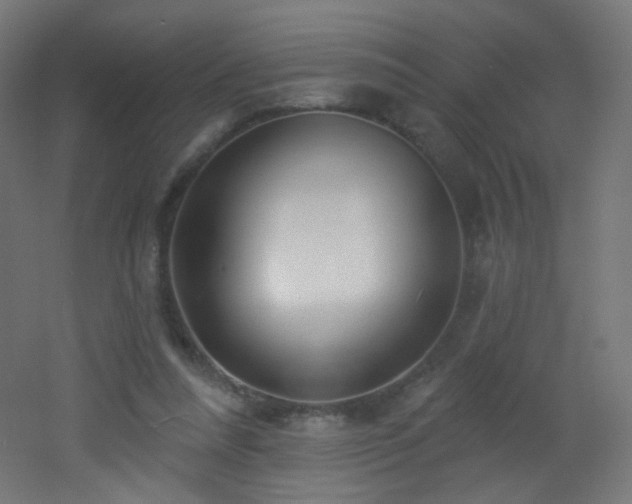 X0000053160304200507111514