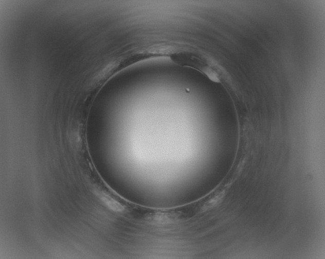 X0000053160305200507111514