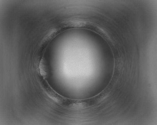 X0000053160307200507111514