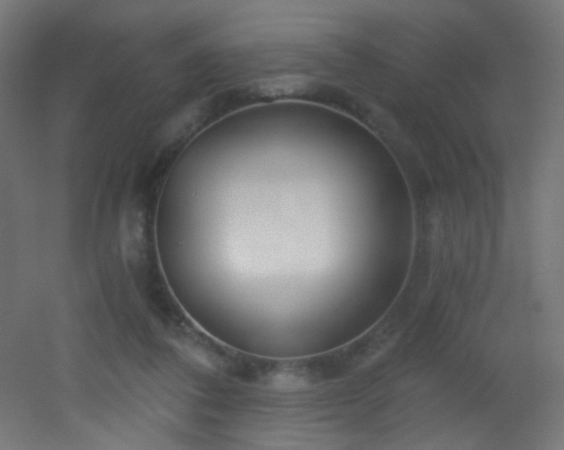 X0000053160308200507111514