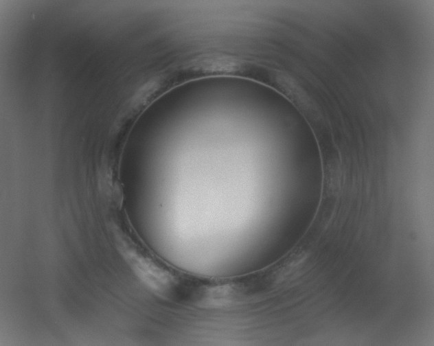 X0000053160309200507111514