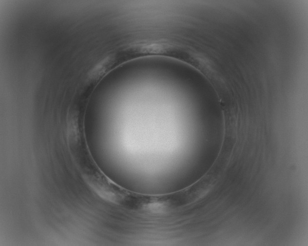 X0000053160312200507111514