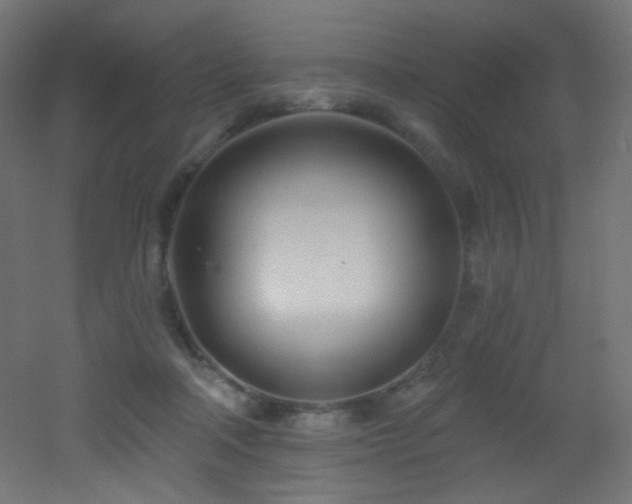 X0000053160314200507111514