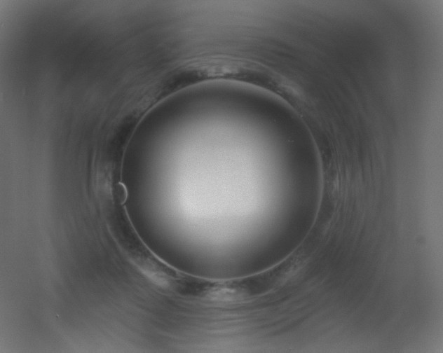 X0000053160315200507111514