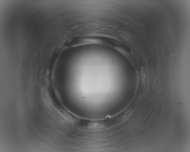 X0000053160319200507111514