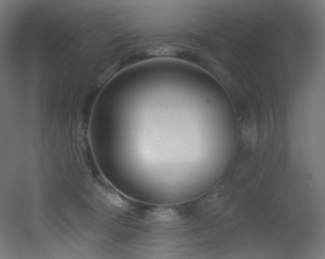 X0000053160322200507111514