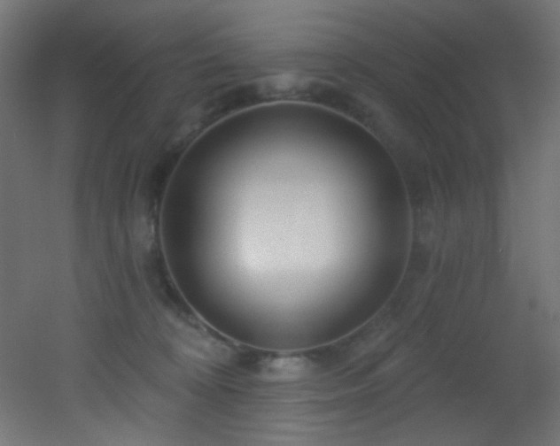 X0000053160324200507111514