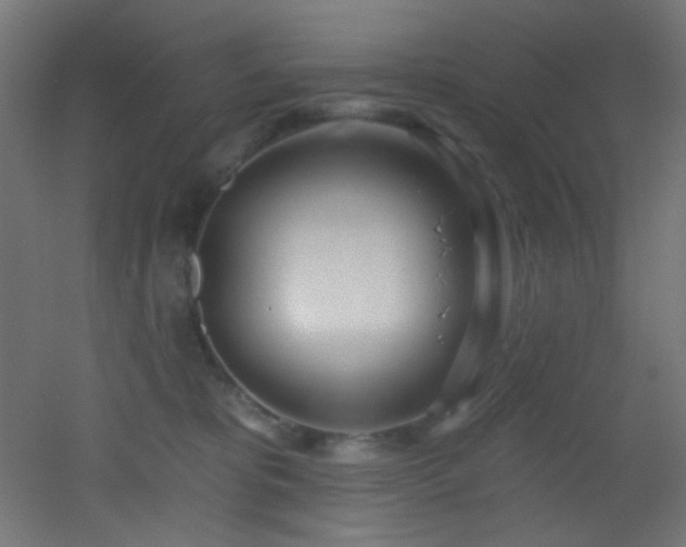 X0000053160325200507111514