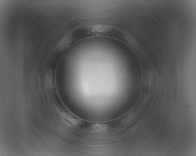 X0000053160328200507111514