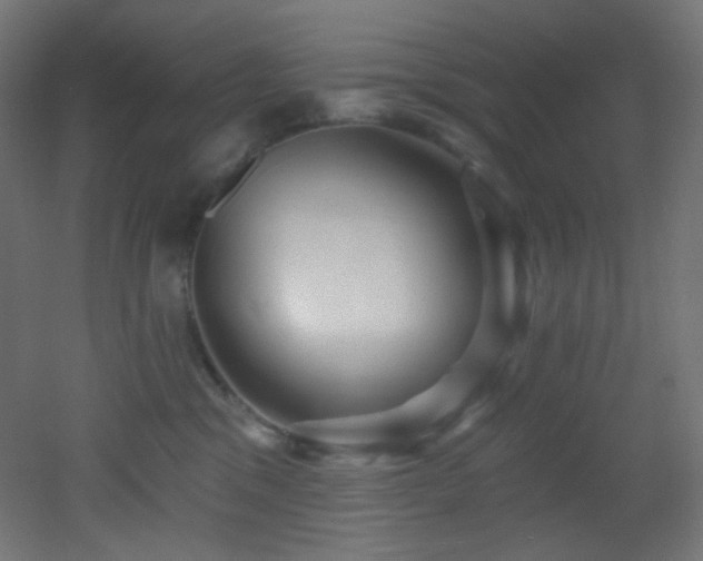 X0000053160329200507111514