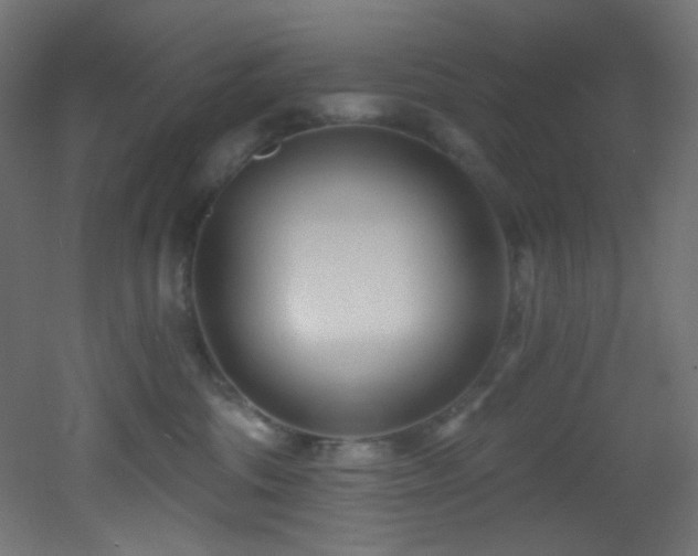 X0000053160330200507111514